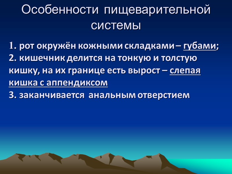 Особенности пищеварительной системы 1. рот окружён кожными складками – губами; 2. кишечник делится на